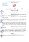 Vista preliminar de documento RD N 1303