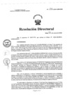 Vista preliminar de documento RD N° 016-2024-HNCH-DG