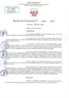 Vista preliminar de documento RD N 1305