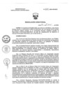 Vista preliminar de documento RD N° 020-2024-HNCH-DG