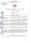 Vista preliminar de documento RD N 1306