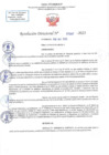 Vista preliminar de documento RD N 1307