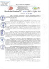 Vista preliminar de documento RD N 1308