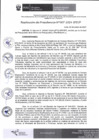 Vista preliminar de documento Resolución 007-2024-IPD/P - Aprobación de desagregación
