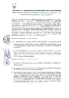 Vista preliminar de documento 1842429825311430453