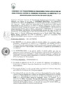 Vista preliminar de documento 1978575165982142984