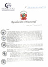 Vista preliminar de documento RD N° 294-12-2023-DE-HCLLH-MINSA