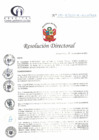 Vista preliminar de documento RD N° 295-12-2023-DE-HCLLH-MINSA