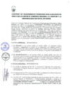 Vista preliminar de documento -1695922207892759756