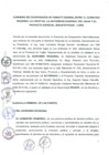Vista preliminar de documento 1654894355785543041