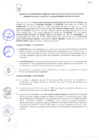 Vista preliminar de documento 2950427767976222257