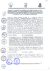 Vista preliminar de documento 1910054808799431581