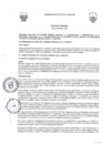 Vista preliminar de documento -956015135552311984
