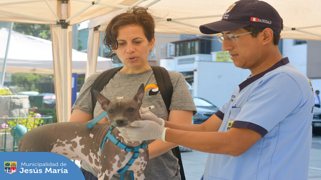 Nuestros vecinos llegaron con sus engreídos de 4 patas al Parque Huiracocha para participar de la Campaña Veterinaria Gratuita.
¡Nuestras mascotas merecen una vida saludable y feliz!
