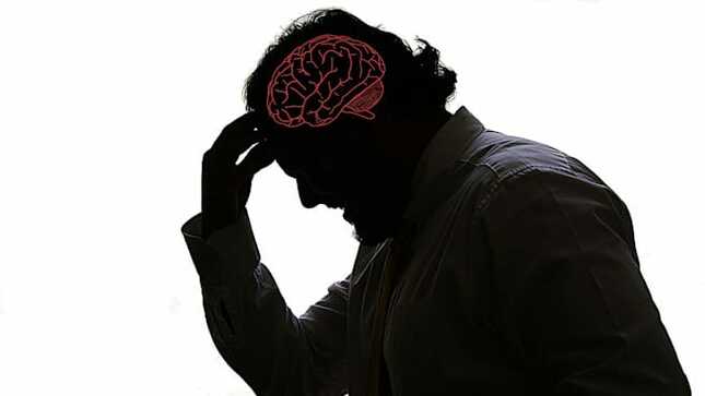 Aproximadamente medio millón de personas viven con epilepsia en nuestro país