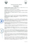 Vista preliminar de documento 113492921782418885