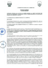 Vista preliminar de documento -1209503478616572420