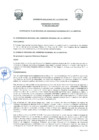 Vista preliminar de documento -495556623450788705