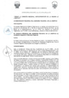 Vista preliminar de documento -1348393033217240790