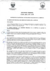 Vista preliminar de documento -1231328834842464223