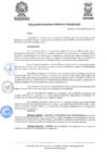 Vista preliminar de documento ResolGere-Nro.-559-2021-MDY