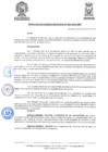 Vista preliminar de documento ResolGere-Nro.-556-2021-MDY