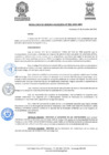 Vista preliminar de documento ResolGere-Nro.-555-2021-MDY