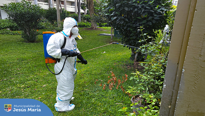 Con el objetivo de prevenir la aparición de focos infecciosos y cuidar la salud de los vecinos, nuestro equipo de la Subgerencia de Salud y Bienestar Social viene realizando acciones de desratización y fumigación. Permanezcan atentos a nuestras redes sociales, pronto estaremos anunciando las siguientes zonas 
¡Recuerda que un distrito limpio es un distrito sano!
#JesúsMaríaSomosTodos