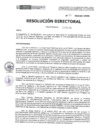 Vista preliminar de documento RD-31-2024-DE-HEVES