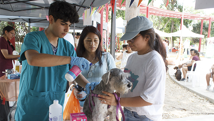 Vecinos felices y mascotas saludables en el I Animal Fest 2024.