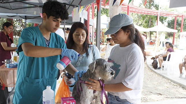 Vecinos felices y mascotas saludables en el I Animal Fest 2024.