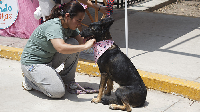 Vecinos felices y mascotas saludables en el I Animal Fest 2024.