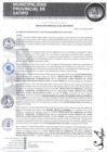 Vista preliminar de documento RESOLUCION GERENCIAL N°0241-2023-MPS-GM