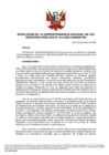 Vista preliminar de documento Resolución de la Superintendencia Nacional de los Registros Públicos N.° 014-2024-SUNARP/SN