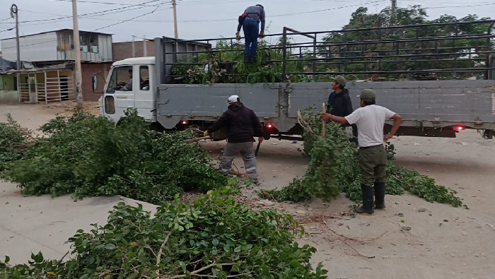 Trabajos de jardinería