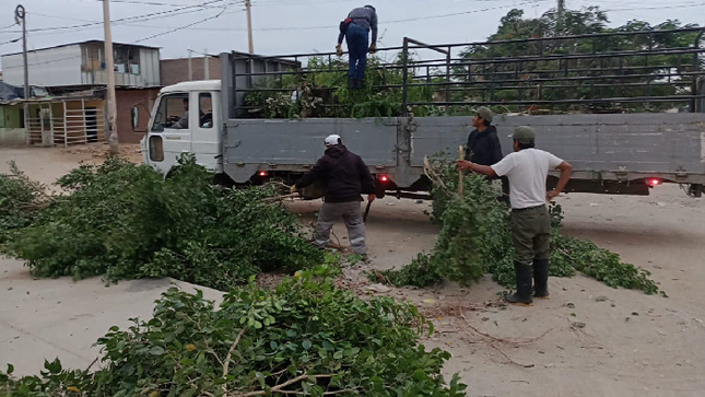 Trabajos de jardinería