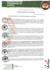 Vista preliminar de documento RESOLUCION GERENCIAL N°0281-2023-MPS-GM
