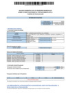 Vista preliminar de documento BALANCE SEMESTRAL REGIDORES 