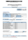 Vista preliminar de documento Informe balance Semestral de Recursos de Fiscalización MPMCH