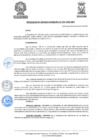 Vista preliminar de documento ResolGere-Nro.-479-2021-MDY