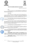 Vista preliminar de documento ResolGere-Nro.-478-2021-MDY