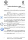 Vista preliminar de documento ResolGere-Nro.-448-2021