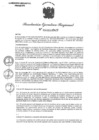 Vista preliminar de documento 021-2024-GRA-GR