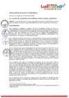 Vista preliminar de documento RESOLUCIÓN DE ALCALDÍA Nº 049-2024-A-MDSJL