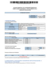 Vista preliminar de documento balance semestral