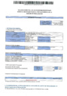 Vista preliminar de documento BALANCE SEMESTRAL-LUYA