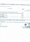 Vista preliminar de documento Cuadro Multianual de Necesidade N°00000005