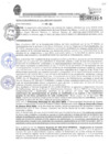 Vista preliminar de documento RESOLUCION GERENCIAL N 10 - 2024 - MDI - GDUYR