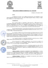 Vista preliminar de documento RESOLGERENCIA-324-2021-MDY