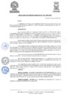 Vista preliminar de documento RESOLGERENCIA-321-2021-MDY